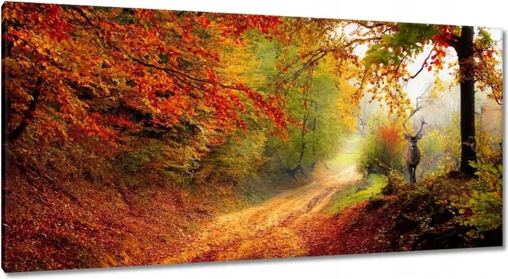 Képek 115x55 Szarvas az erdőben