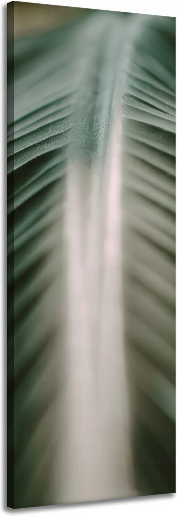 Vászonkép Természet Pálmalevél 40x120