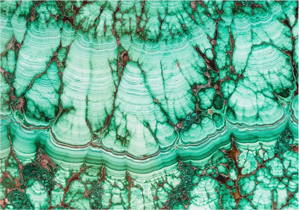Flizelin tapéta Divatos 3D fali ragasztóval Zöld minták 208x146 Ragasztó