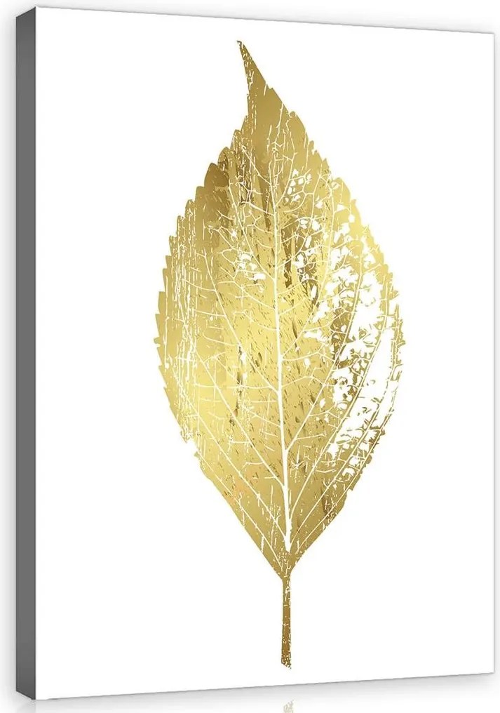 Falikép Vászonkép levél 100x75