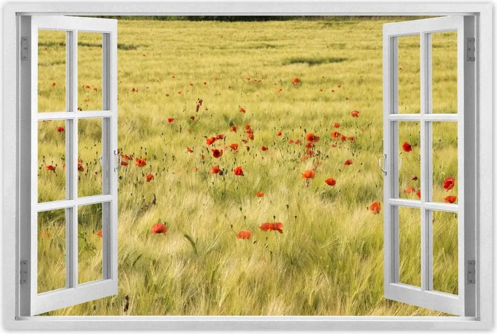 Poszterek 60x40 Pipacsok a mezőn