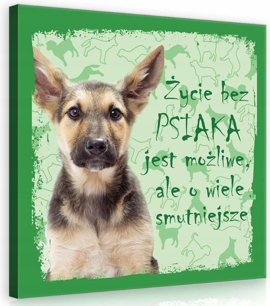 Vászonkép 40x40 Kiskutya kutya aranyos szerelem állatok kutya sziluettek