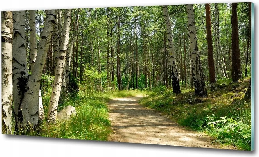 Fotó üvegkép Plitvicei-tavak 100x70