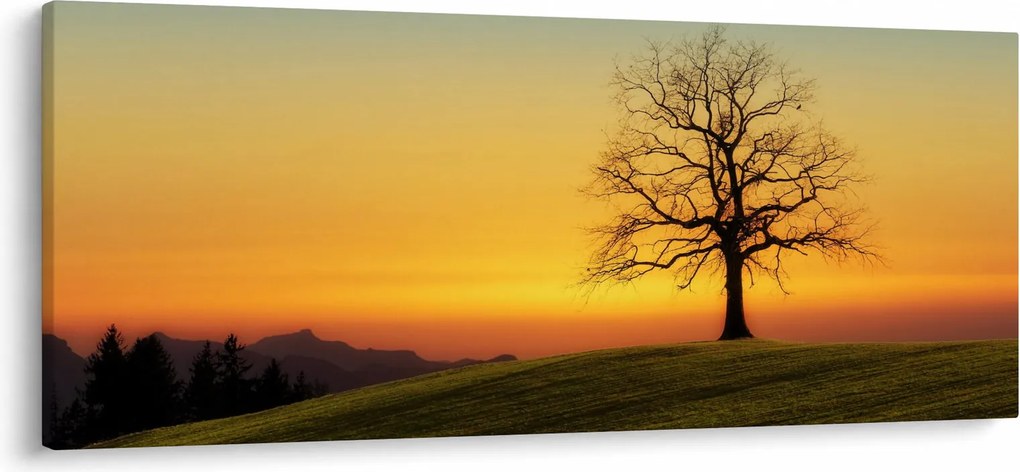 Egy fa képe a mezőn (120x50 cm)