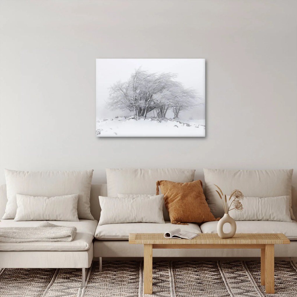 Kép - fehér tél (70x50 cm)