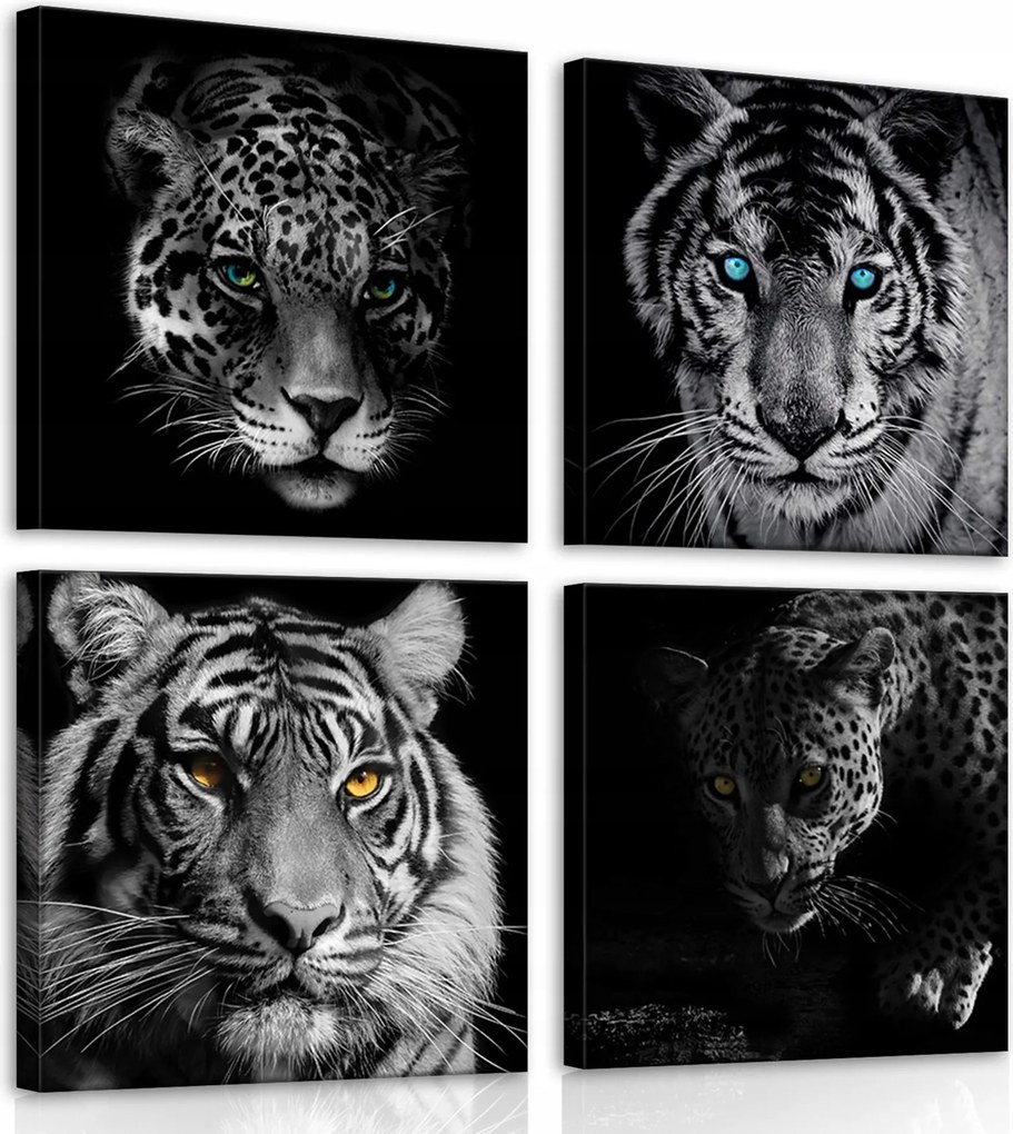 Vászonkép nappaliba modern Tigris vászon sorozat 4db-os
