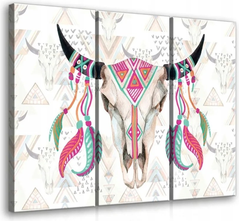 Vászonkép 90x80 Bika koponya etno boho toll indián stílus természet misztika