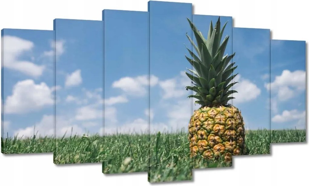 Festmények 140x80 Ananász tájkép