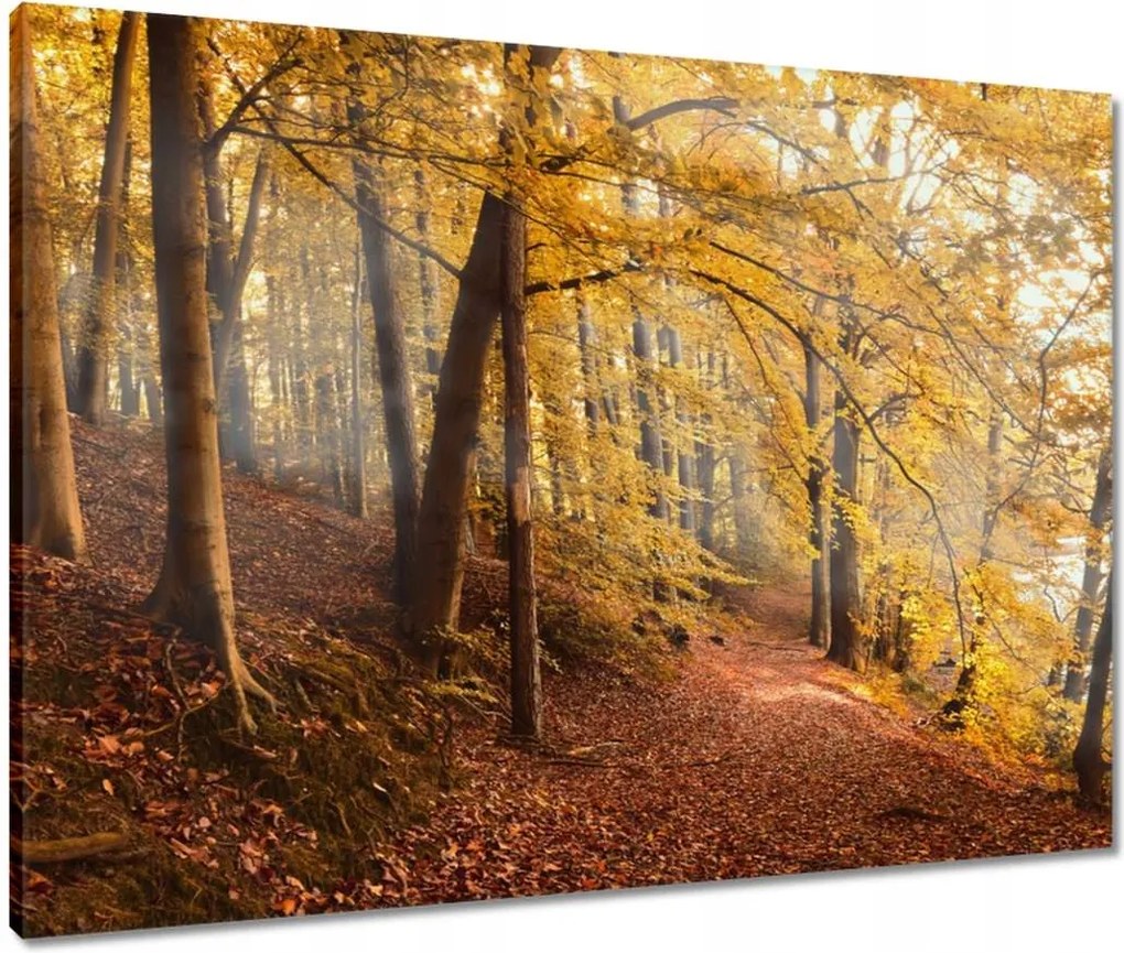 Vászonkép 80x60 Tájkép Látvány