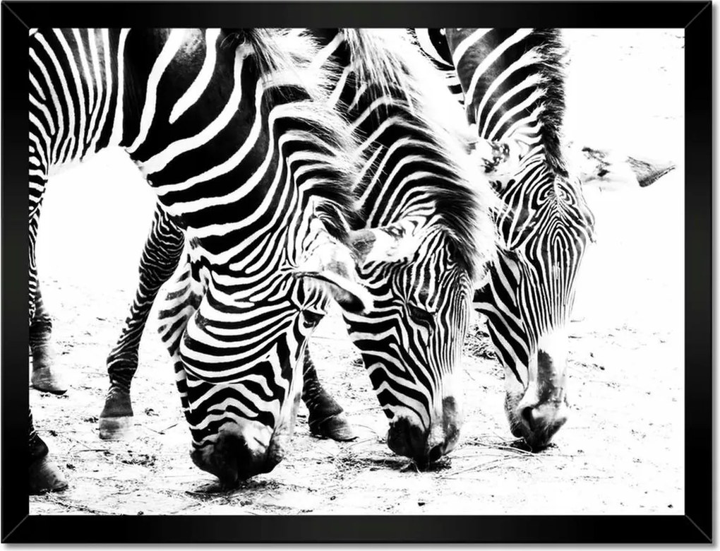 Poszterek keretben 40x30 Zebra csíkos