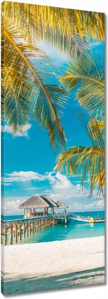 Vászonkép 40x100 Trópusok Tájkép Pálma