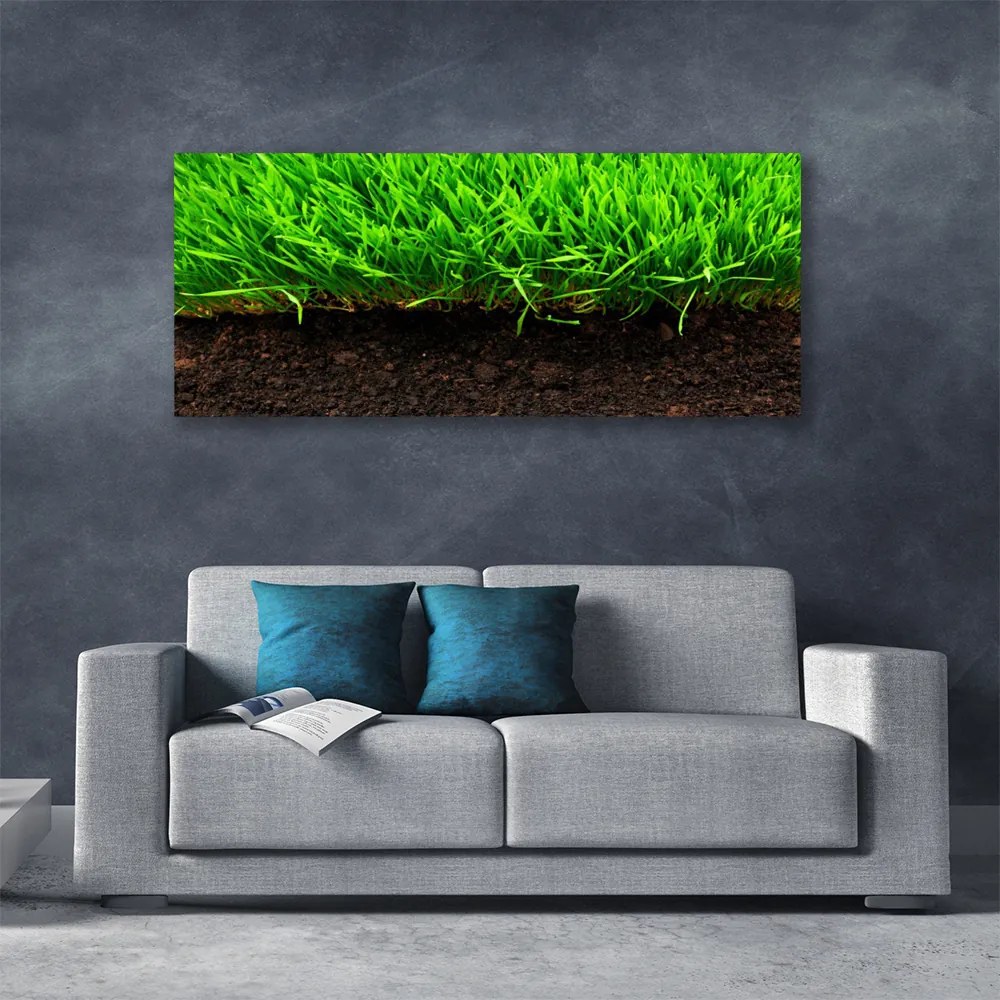 Canvas kép Grass Nature Plant 100x50 cm
