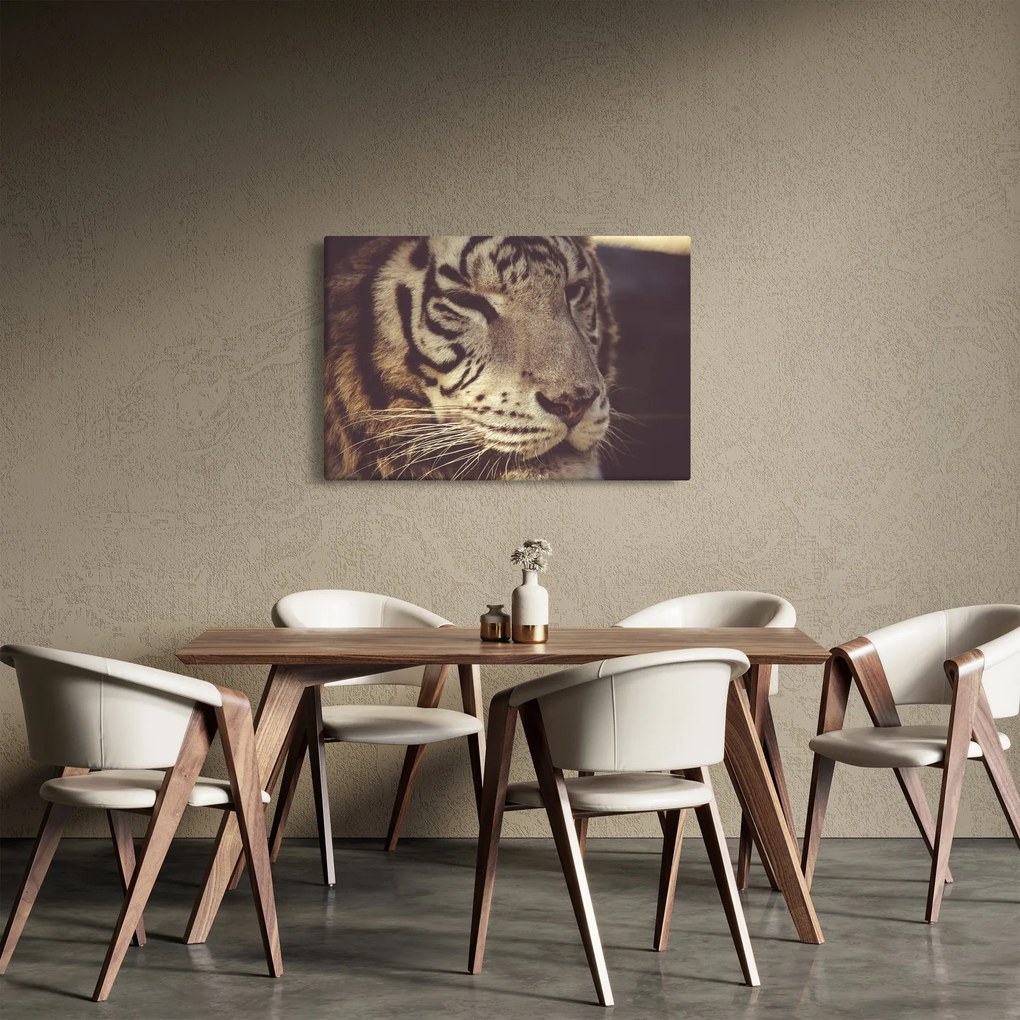 Tigris képe (90x60 cm)