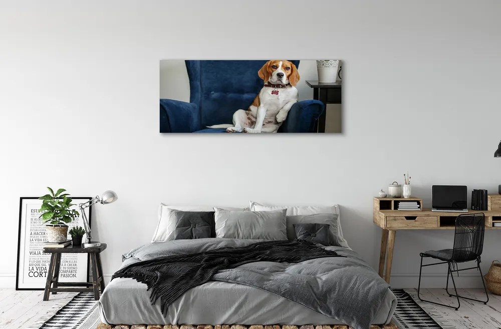 Canvas képek ül kutya 120x60 cm
