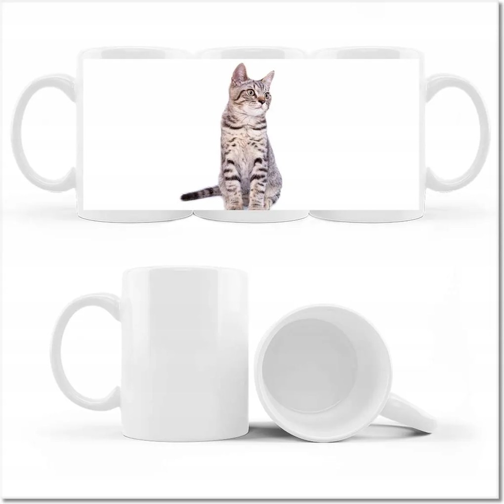 Nyomott mintás bögre Cica Cicák Macskák