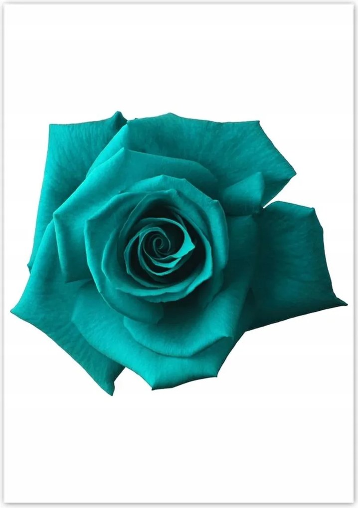 Poszterek 70x100 Nőnap Ajándék Love