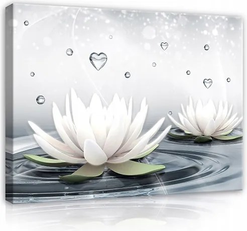 Vászon Falikép Liliomok Virágok Víz Hálószoba Nappali Nagy XXL 120x80