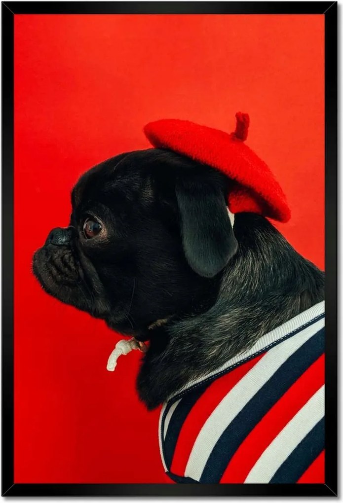 Poszterek keretben 40x60 Kutya Kutyák