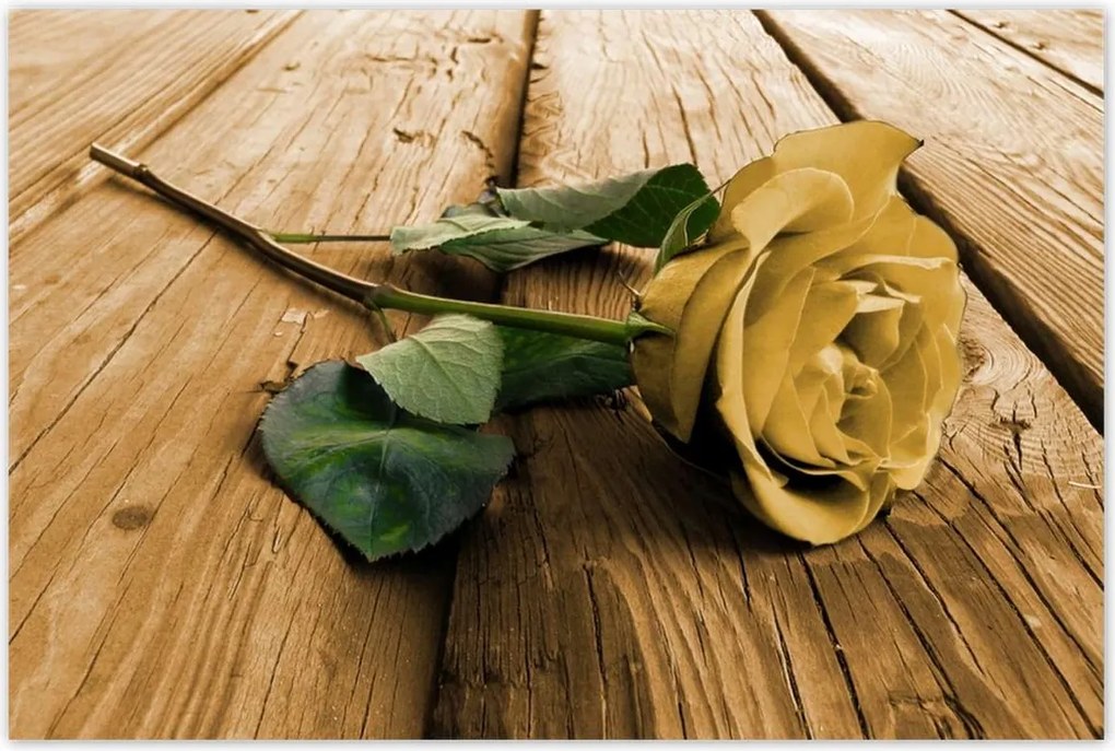 Poszterek 120x80 Rózsa a deszkákon