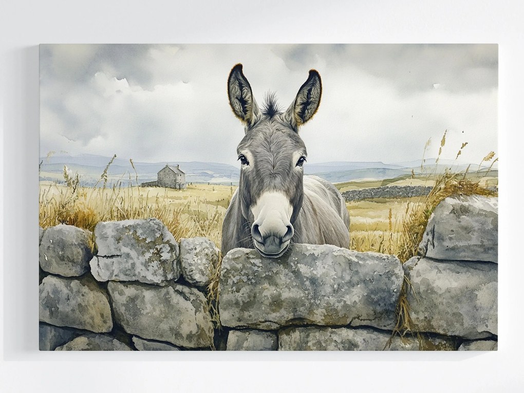 Vászonkép Canvas Tájkép Írország Fal Szamár Természet 120x80