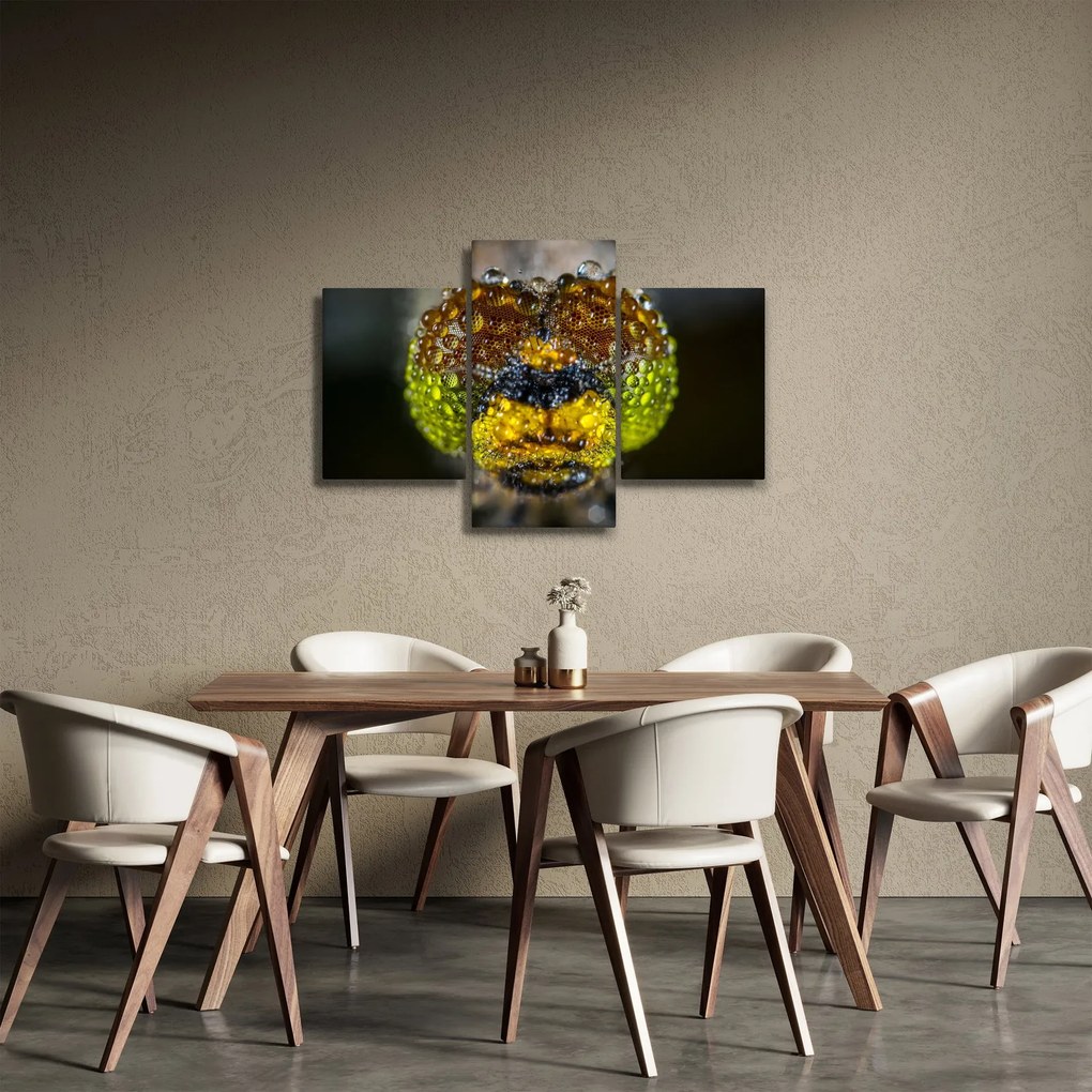 Részletes kép a rovar szemről (90x60 cm)