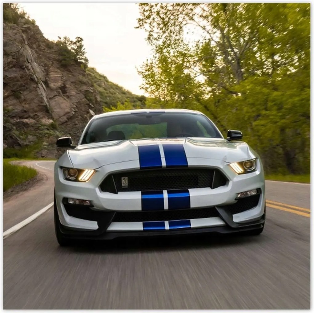 Poszterek 100x100 Ford Mustang Usa autó