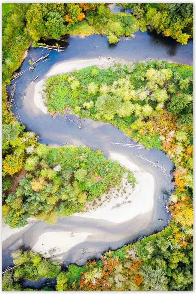 Poszterek 80x120 Forgó folyó Erdő Ősz