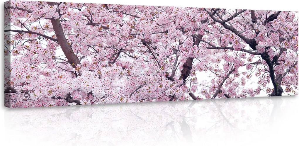 Vászonkép falikép virágok rózsaszín fehér 145 x 45