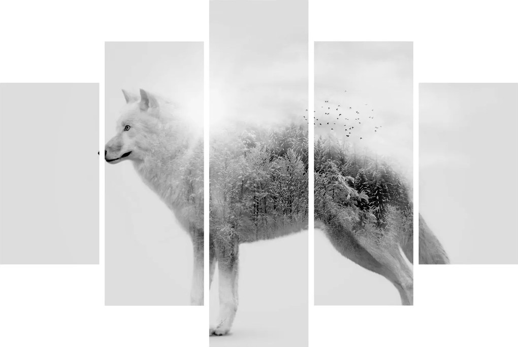 Kép - Vad tájat tükröző sarkvidéki farkas, fekete-fehér (150x105 cm)