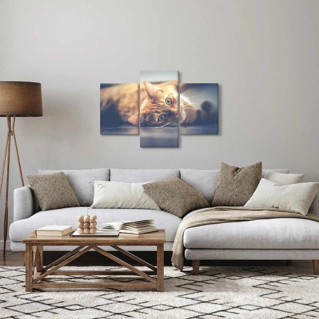 Egy kép a macskáról a padlón (90x60 cm)