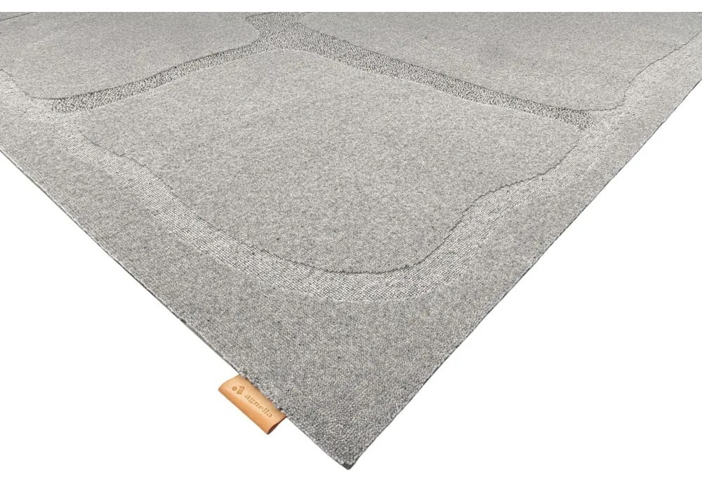 Szürke gyapjú szőnyeg 200x300 cm Morphic Organica – Agnella