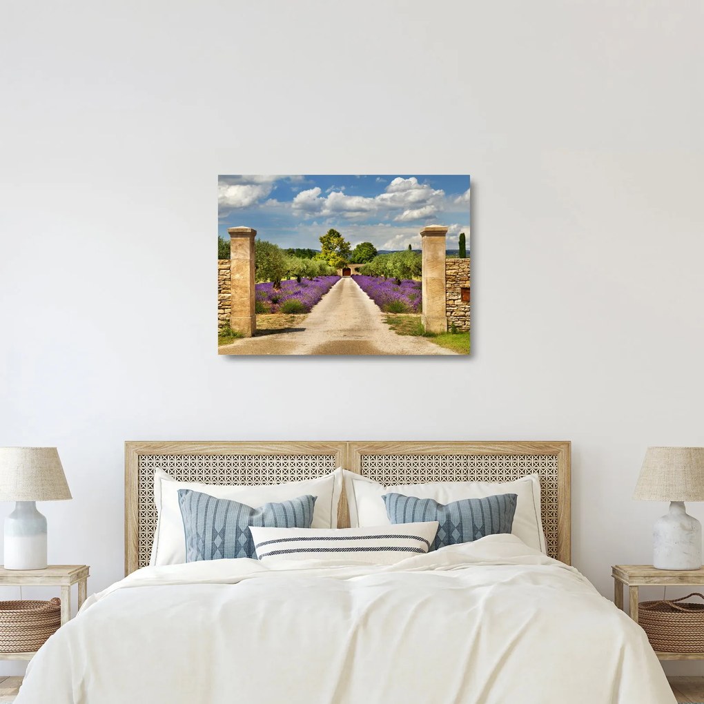 Üveg kép - Levendula ösvények (70x50 cm)