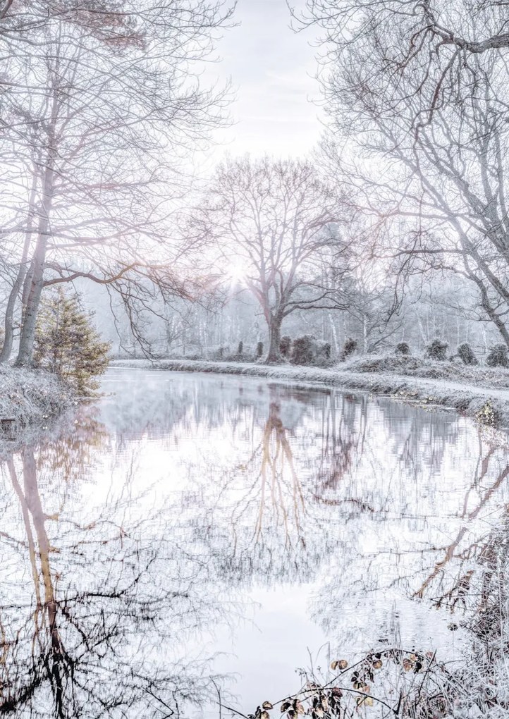 Poszter 42x59,4cm Csatorna fákkal, Assaf Frank