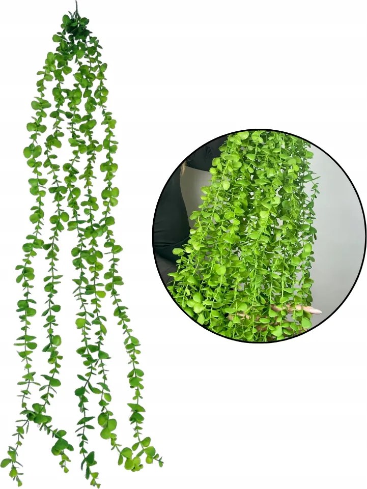 Eukaliptusz Füzér Eukaliptusz Levelekből Zöld Túlnyúlások Művirágok 110cm