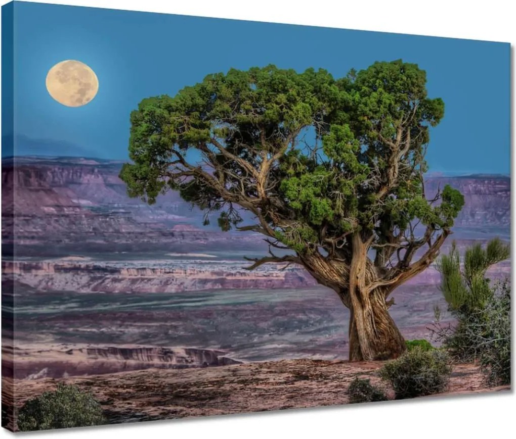 Vászonkép 40x30 Kilátás Tájkép