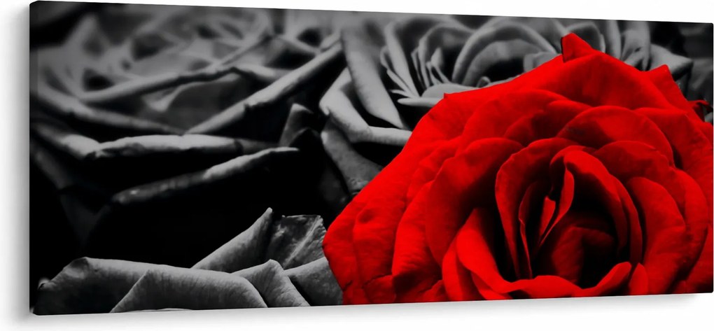 Kép - Rózsák (120x50 cm)