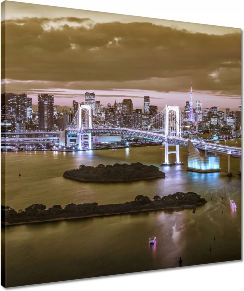 Vászonkép 50x50 Szivárványhíd Tokióban