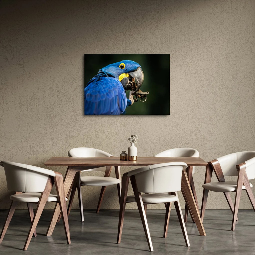 Papagáj képe (70x50 cm)