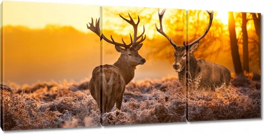 Vászonkép 150x70 Szarvasok a bömbölőn