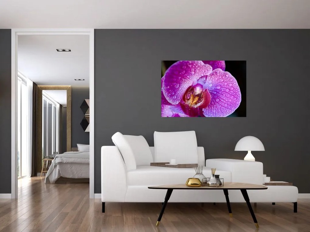 Részletes kép az orchidea virágról (90x60 cm)