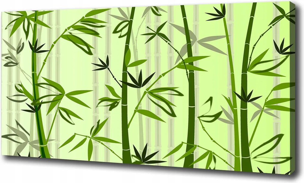 Fotótapéta nagy canvas falikép Bambusz 100x70 cm