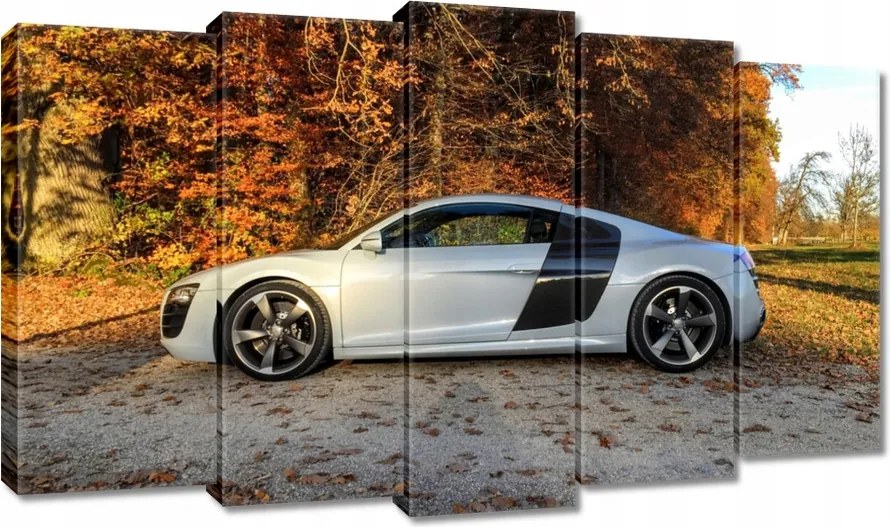 Vászonkép 100x60 Fehér Audi Tt