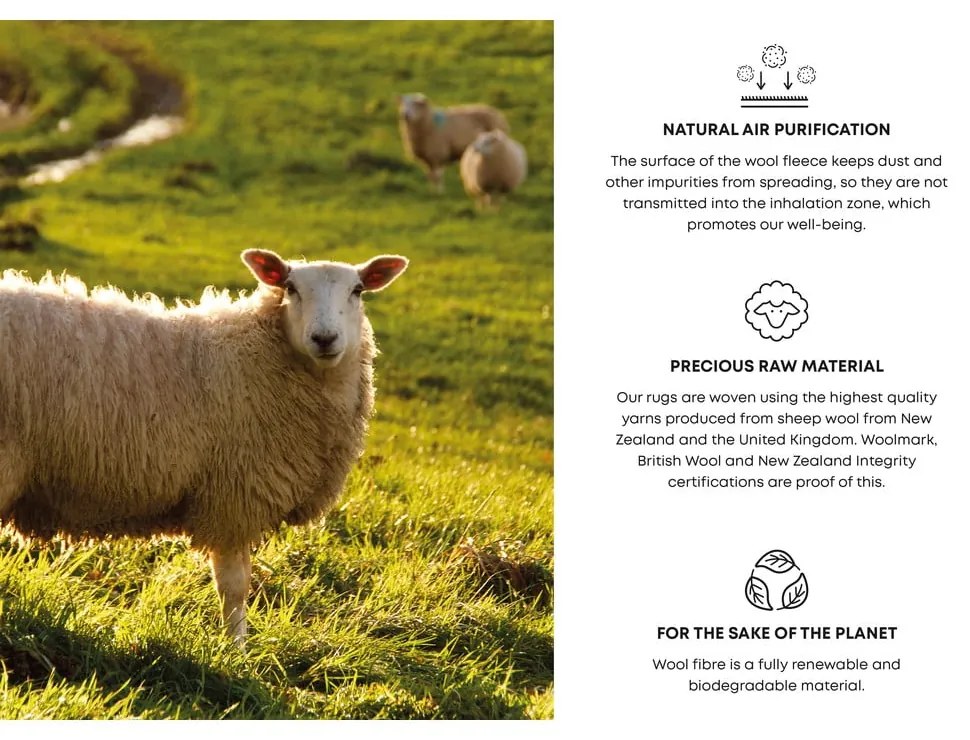 Szürke-krémszínű gyapjú szőnyeg 160x240 cm Lissey – Agnella