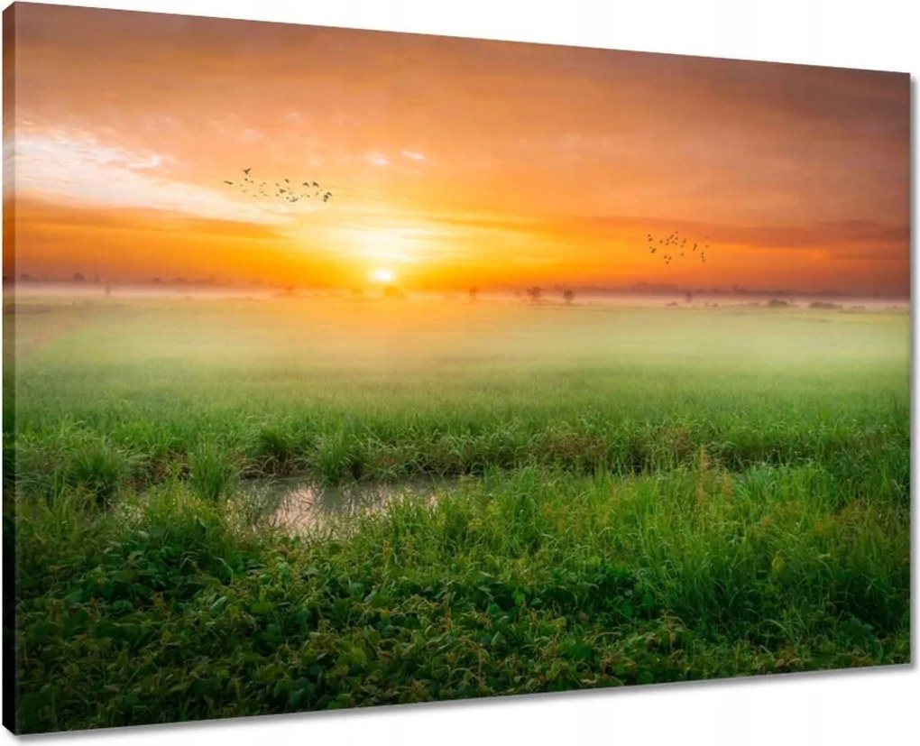 Vászonkép 70x50 Napfelkelte Ébredés