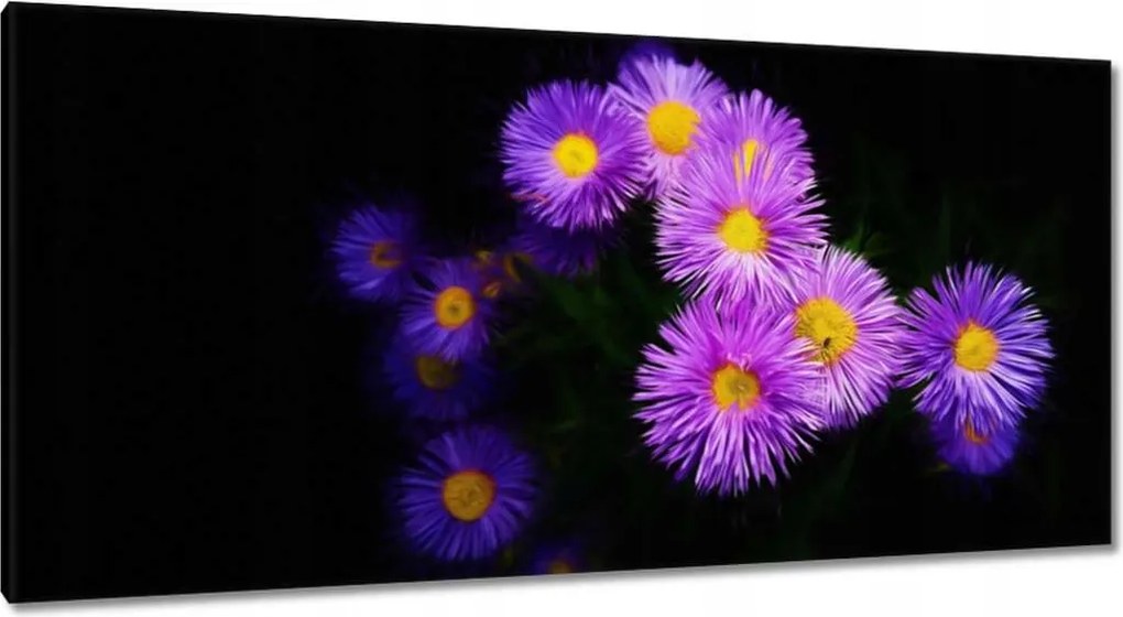 Vászonkép 115x55 Lila őszirózsa virágok