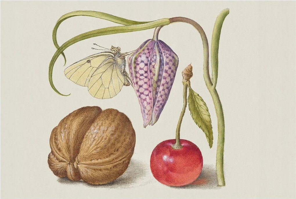 Fotótapéta Flizelin Dekoratív Hálószoba Pillangó növények 104x70 Ragasztó