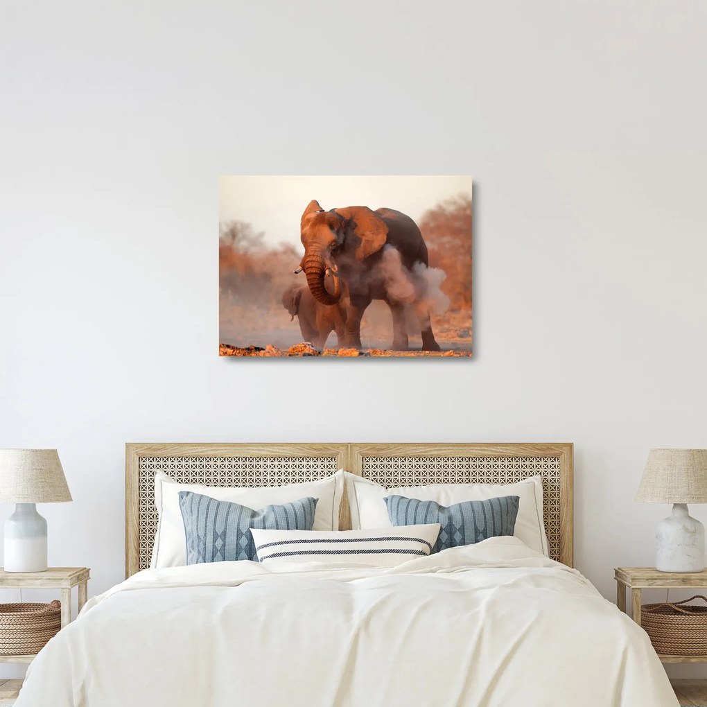 Üveg kép - Nagy afrikai elefánt (70x50 cm)