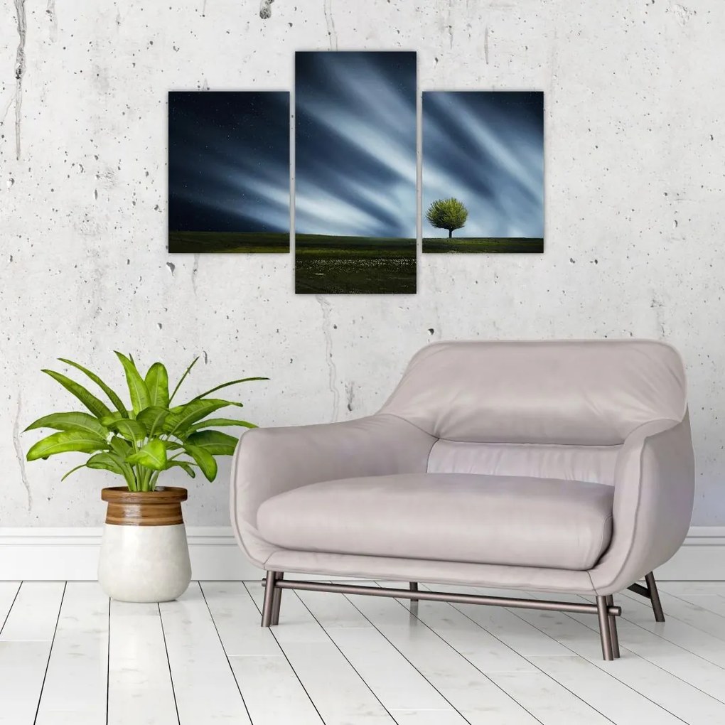 Az aurora borealis képe egy lápvidéken (90x60 cm)