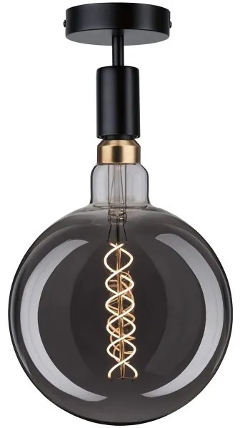 Paulmann 79760 - Mennyezeti lámpa HALDOR 1xE27/20W/230V