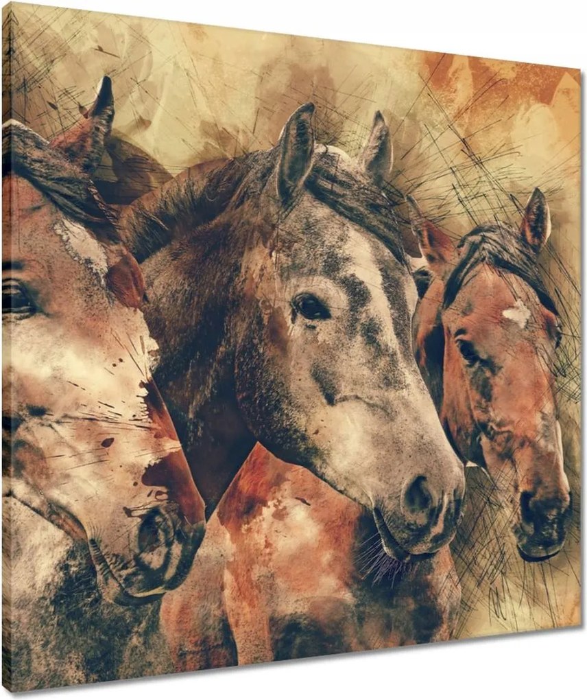 Vászonkép 60x60 Lófejek